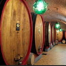 27/05/2026 -The Wines of Allegrini, Veneto, Italy