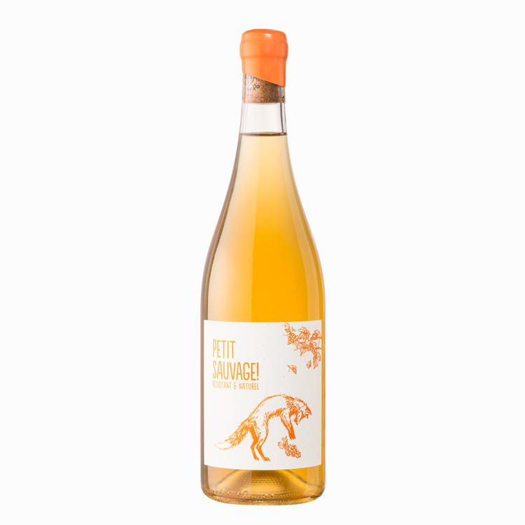 Pierre Antonin Petit Sauvage Orange 2024