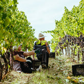 03/06/2026 - Greek Tasting evening with Kir-Yianni & Domaine Sigalas