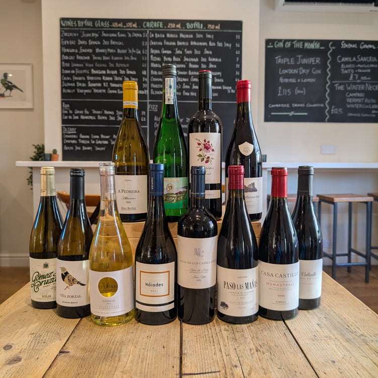 Mixed Case No.21 Spanish Wines of the Year