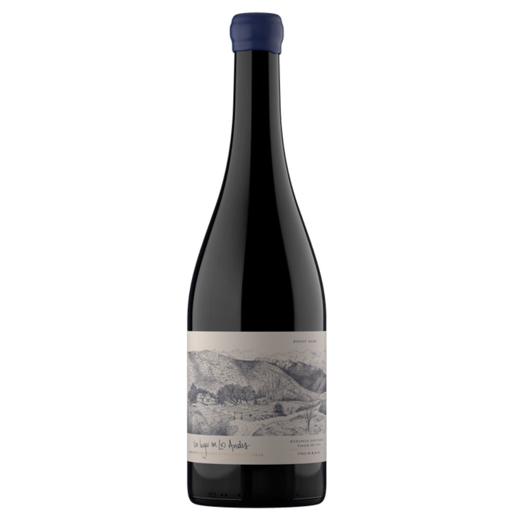Zuccardi Un Lugar en Los Andes Pinot Noir 2022
