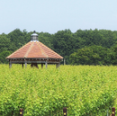 Danbury Ridge 2021 Mixed Case