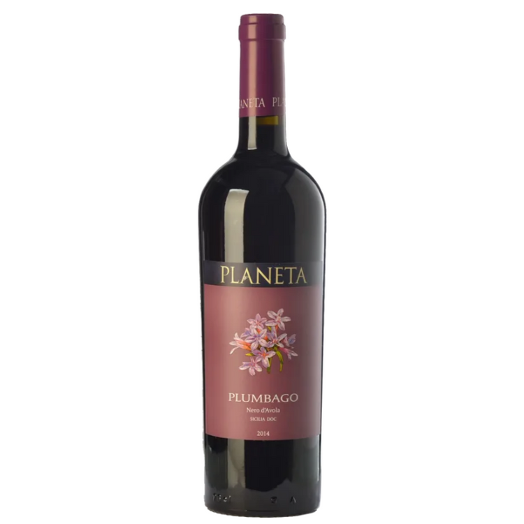 Planeta 'Plumbago' Rosso