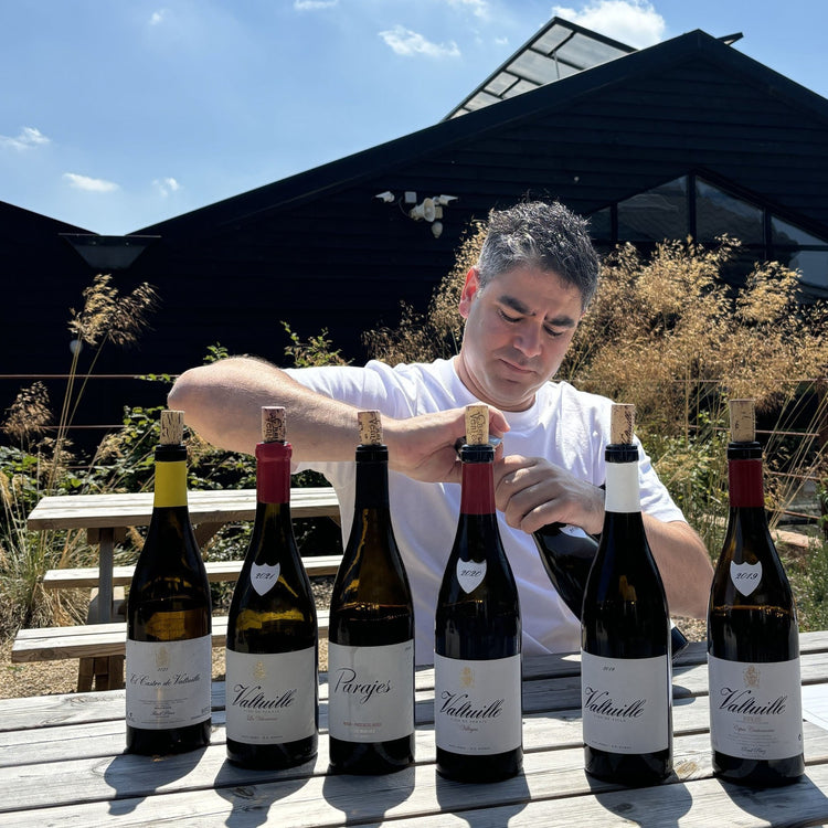 César Márquez - stunning 2023 Releases