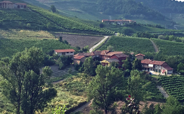 Stunning Barolos (plus Barbera & Dolcetto) from Chiara Boschis