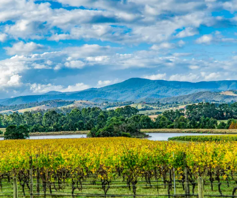 Sensational Australian Offers Autumn 2025
