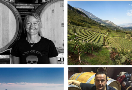 Autumn Wine Tastings