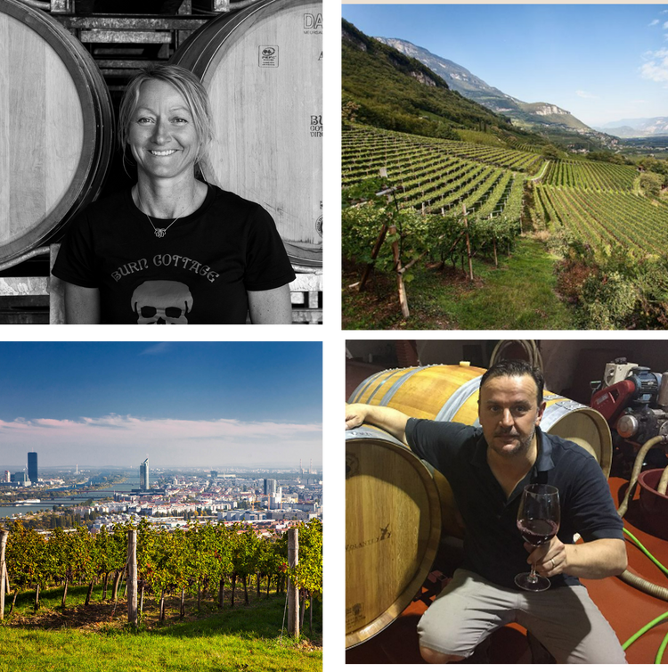 Autumn Wine Tastings