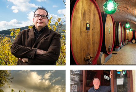 New Year Wine Tastings 2026