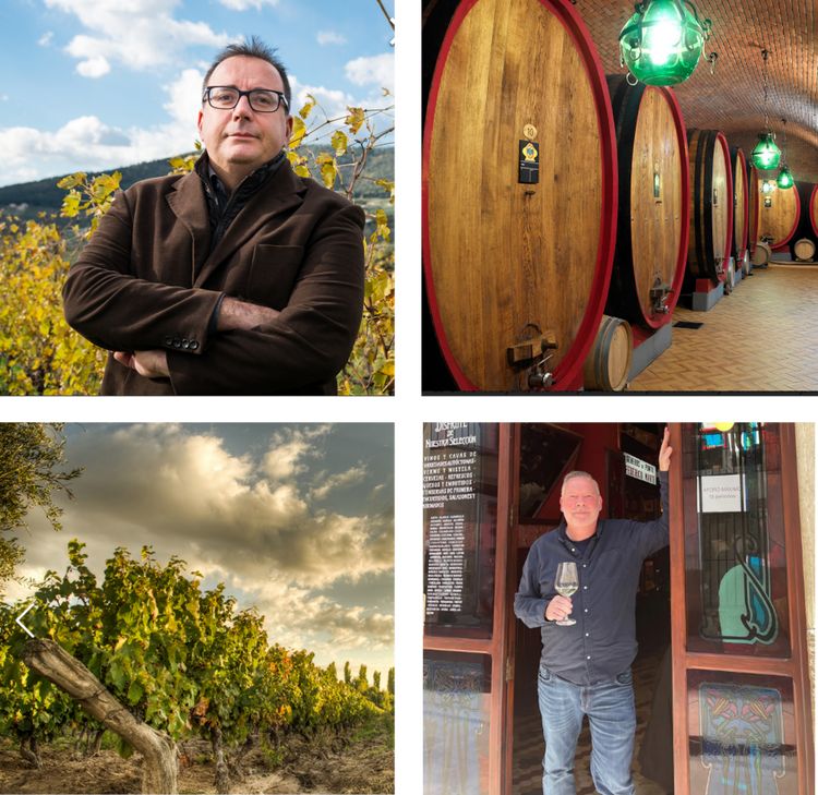 New Year Wine Tastings 2026