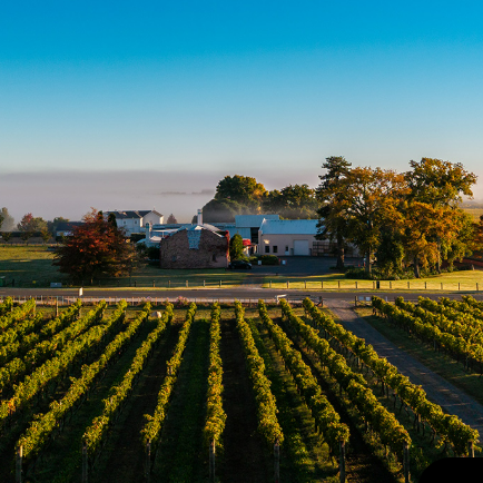Te Mata Estate 2024 Release
