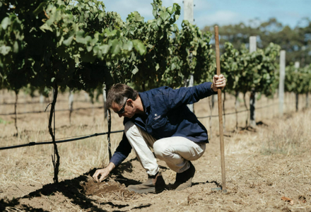Vasse Felix Flagship Releases, Heytesbury Chardonnay 2023 & Tom Cullity 2021