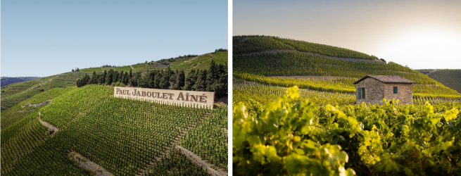Hermitage La Chapelle & Paul Jaboulet Aine 2026 Pre Release
