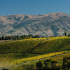 03/09/2025 - The Wines of  Burn Cottage, Central Otago, New Zealand