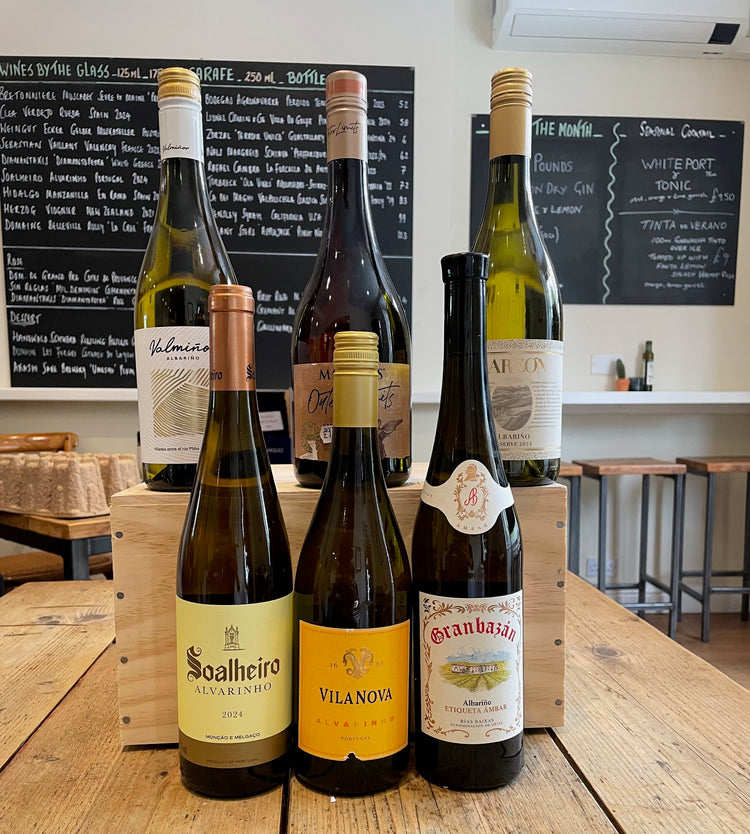 Mixed Case No.20 Albariño 6-Pack
