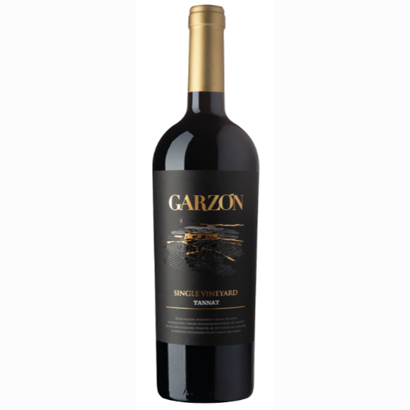 Bodegas Garzón Single Vineyard 2020 Bottle