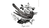 Magpie Estate The Final Tasting with Rolf Binder & Noel Young, 28th May 2025 19:00