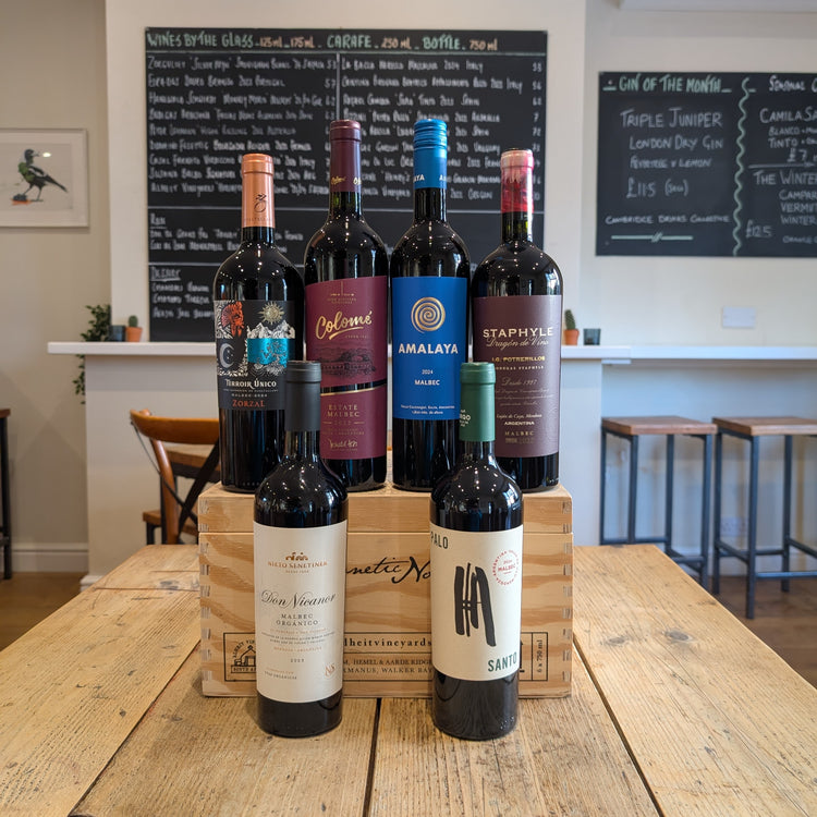 Mixed Case No.16 Argentinean Malbec 6-Pack