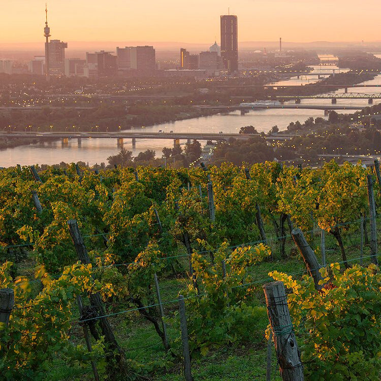 09/10/2025 - The Wines of Weingut Wieninger, Vienna, Austria – with Stefanie Lobner