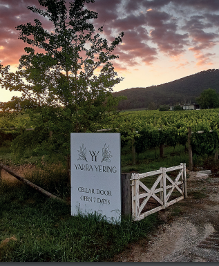 Yarra Yering 2023 New Vintage Release