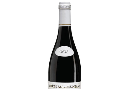 Decanter World Wine Awards 2026 Best in Show and Platinum Award Winners