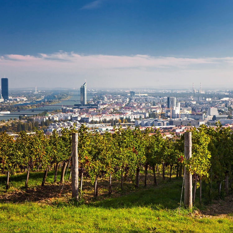 09/10/2025 - The Wines of Weingut Wieninger, Vienna, Austria – with Stefanie Lobner
