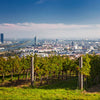 09/10/2025 - The Wines of Weingut Wieninger, Vienna, Austria – with Stefanie Lobner
